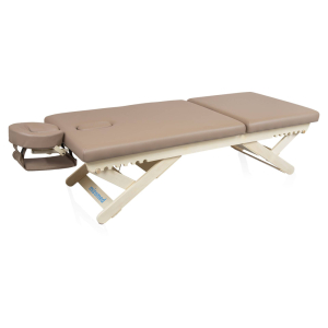 Массажный стол стационарный Mizomed Boast-Tilt SBT1S30